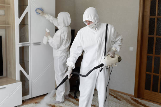 Best Basement Mold Removal  in Hermiston, OR